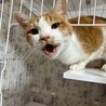  サムネイル2