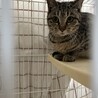  サムネイル2