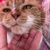  サムネイル2
