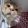  サムネイル5