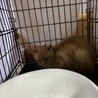  サムネイル2