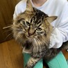  サムネイル2