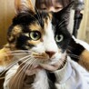  サムネイル2