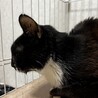  サムネイル2
