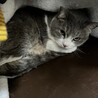 サムネイル2