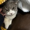  サムネイル3