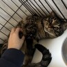  サムネイル2