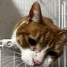  サムネイル2