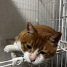  サムネイル3