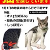  サムネイル2
