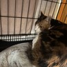  サムネイル2