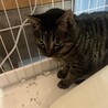  サムネイル2