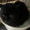  サムネイル2