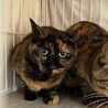  サムネイル2
