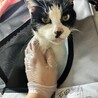  サムネイル2