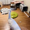 サムネイル2