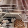 サムネイル3