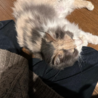  サムネイル2