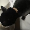  サムネイル2