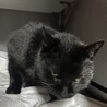  サムネイル3