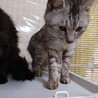  サムネイル2