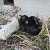  サムネイル2