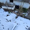  サムネイル3
