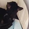  サムネイル4
