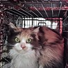  サムネイル3