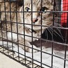  サムネイル2