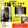  サムネイル3