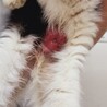  サムネイル3