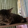  サムネイル2