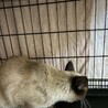  サムネイル3