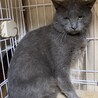  サムネイル3