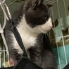  サムネイル2