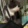  サムネイル3