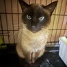  サムネイル5