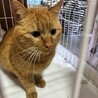  サムネイル3
