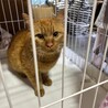  サムネイル4