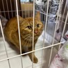  サムネイル5