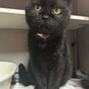  サムネイル5
