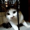  サムネイル2
