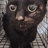  サムネイル2