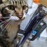  サムネイル2