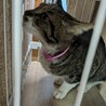  サムネイル3