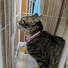  サムネイル4
