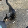  サムネイル5