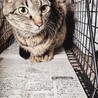  サムネイル2