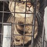  サムネイル3
